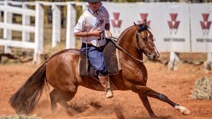 1º Lugar Machos - Hino da Saff