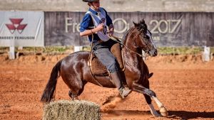 2° Lugar Fêmeas - La Pátria da Bela Aliança