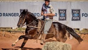 2° Lugar Machos - Taberneiro de Santa Angélica
