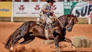 3° Lugar achos - LAA Cianureto