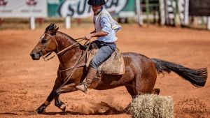 3° Lugar Fêmeas - Esmeralda do Rio das Pedras